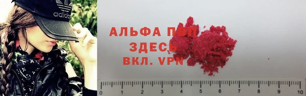 прущая мука Гусиноозёрск